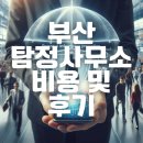 그날 행정사 사진 탐정사무소 | 부산 탐정사무소 비용 4일 조사 후기, 300만 원대 실제 경험
