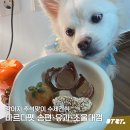 바르다펫 이미지