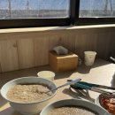 동심의 여행 | 울진 후포 아이랑 맛집 여행 필수 코스 동심식당 전복죽 후기