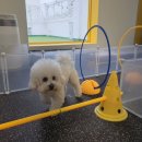 멍더가든 이미지