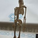 G.O PT Studio 이미지