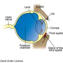 24시 폴 동물병원 이미지