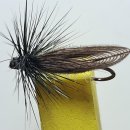 Little Black Stone Dry 이미지
