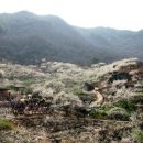 섬진강매화로 이미지