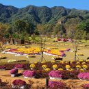 옥정호로 이미지