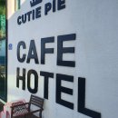 제주 수산리 곰솔 이미지