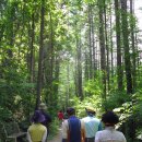 황범식 카카오 검색결과