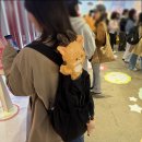 성수 팝업 라이즈 파크 평일 후기 생일날 라이즈 볼 기회 놓친 썰 푼다 사전예약 막타임 방문
