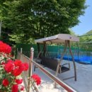 파파지붕펜션 이미지