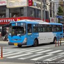 동진버스(주) 네이버블로그