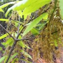 풍촌농장 이미지