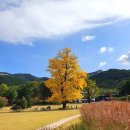 월드스크린골프 이미지