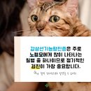 곤지암동물병원 이미지