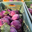 글로리팜 이미지