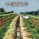 무사이 이미지