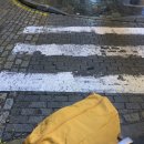 바다의 언덕 호스텔 | 세비야에서 리스본 야간버스 후기(리스본 1일차, 리스본 데스티네이션 호스텔, CASTRO, 만테이가리아 )