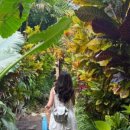 더블루도어 이미지