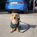 우리카프라자 이미지