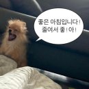 [1박2일 경주여행] 사람이 변하면 죽는다잖아