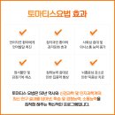 토마티스 청각 언어센터 이미지