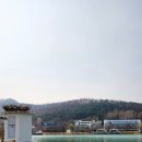 수성유원지(상화동산) | 대구 가볼만한곳 수성못 산책 코스 총정리 연리지부터 수성랜드까지 봄나들이 명소