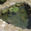 샘양지마을 이미지