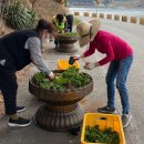 노량 해안도로길 이미지