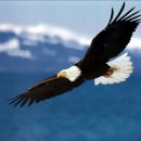 독수리태권도 이미지