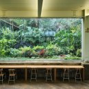 부천호수식물원 수피아 이미지