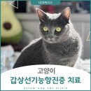 으뜸원동물병원 이미지