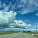 태권도평원도장 이미지