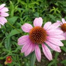 금강민박 이미지