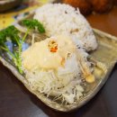 푸조와곰솔 이미지