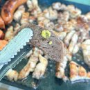 이스턴모스트캠핑 이미지