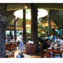 카오카오 이미지