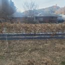 학곡농장 이미지