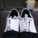 로데오수선 이미지