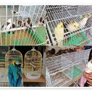 병천시장 이미지