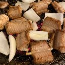 꼼장어네 이미지