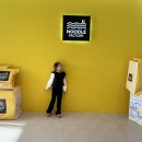 퐁당퐁당오락실 이미지