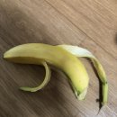 장어패밀리 Daum카페