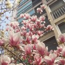 국립공주대학교 문화유산대학원 이미지