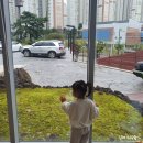 김해 주촌 착한낙곱새 명절 외식하고 왔어요(코스트코 근처 맛집)