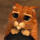 에이스승마랜드 이미지