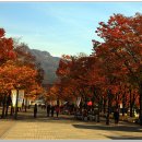 대공원입구로 이미지