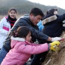 매화둠벙마을 이미지