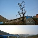 탐마루장흥한우 이미지
