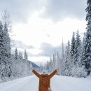 겨울여행 이미지