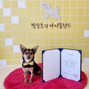 박순호의 아이슬란드 이미지