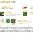 레몬소프트 이미지